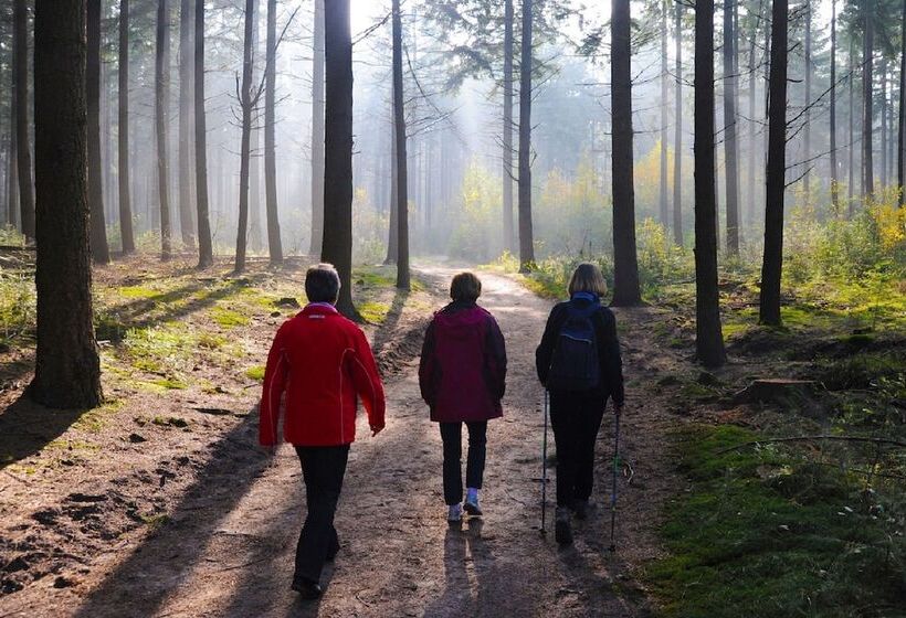 酒店 Landgoed Zonheuvel