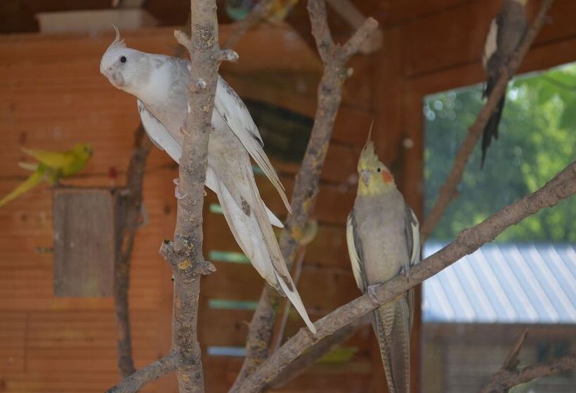 호텔 Le Village De La Champagne Slowmoov