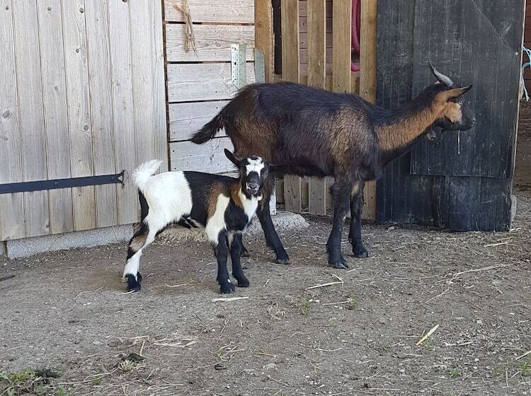 호텔 Le Village De La Champagne Slowmoov