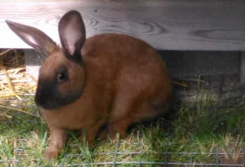 호텔 Le Village De La Champagne Slowmoov