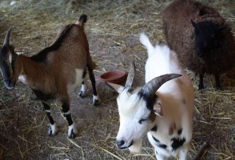 호텔 Le Village De La Champagne Slowmoov