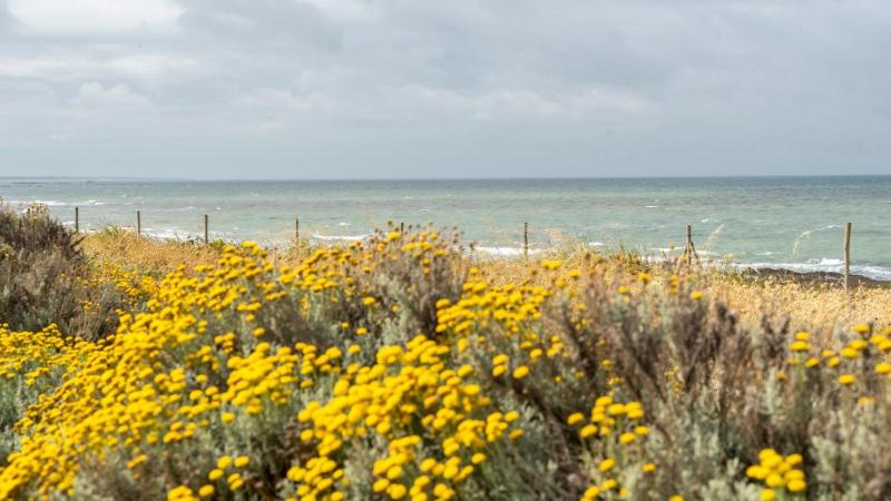 فندق Logis Hôtellerie Les Brisants , Restaurant J M Perochon