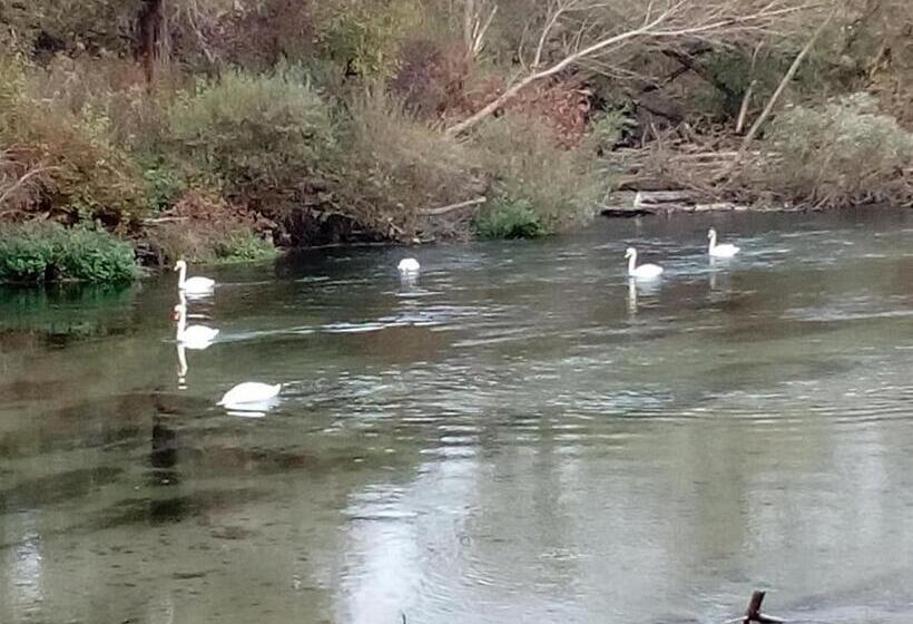 בית מלון כפרי Locanda Da Carla