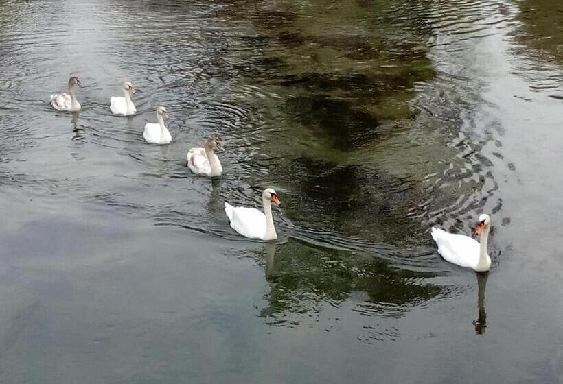 בית מלון כפרי Locanda Da Carla