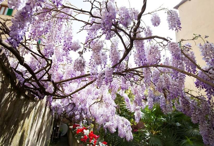 هتل Locanda Orchidea