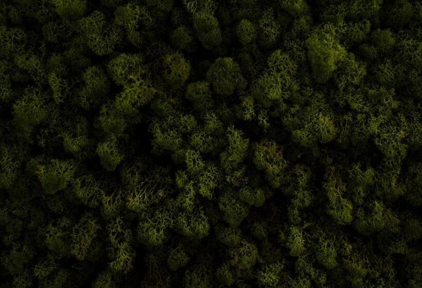 فندق Logement Overzee