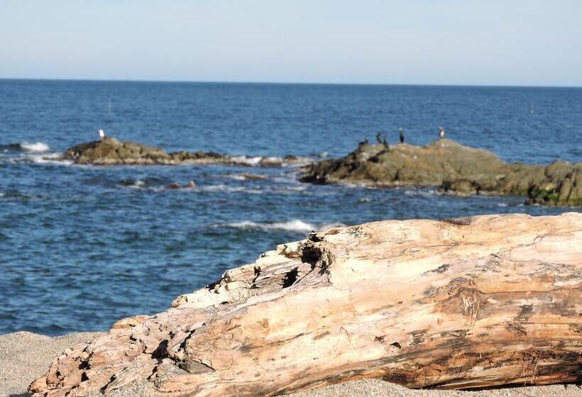 Logis Hotel Cara Sol