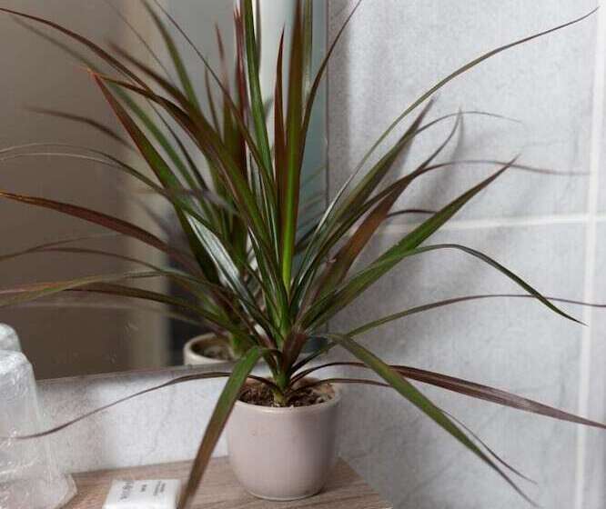 فندق Logis Hôtel Le Carnot