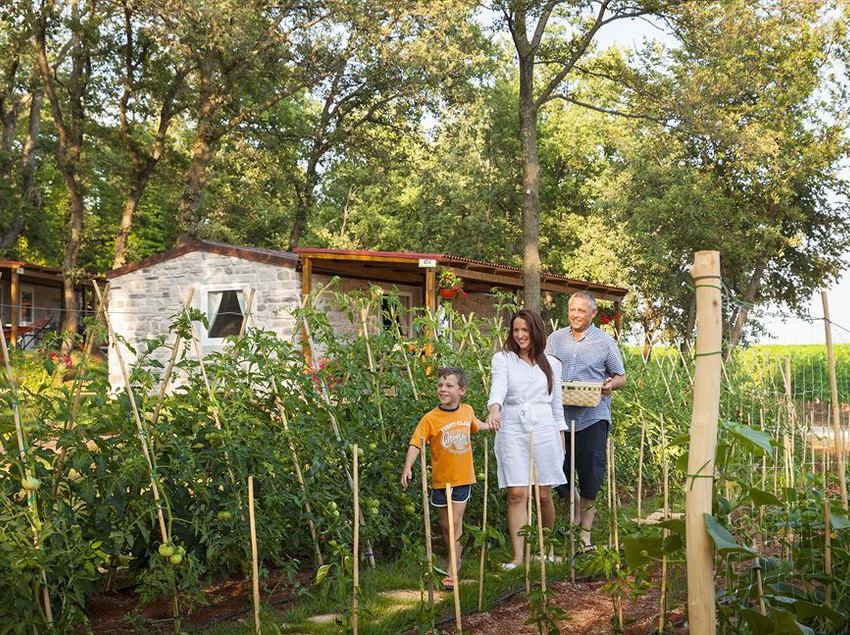 酒店 Park Mareda Relax Premium Village