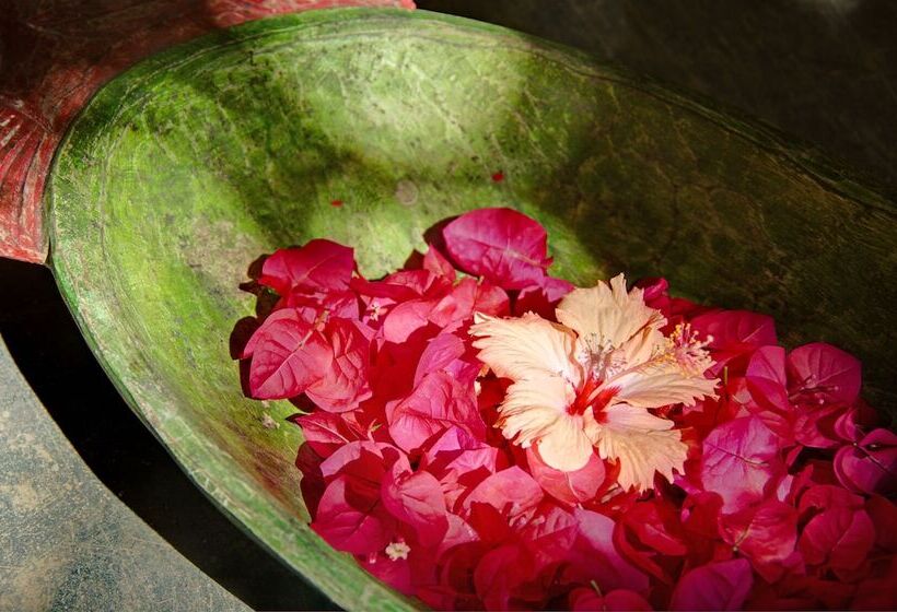 酒店 Mata N'ativa Pousada