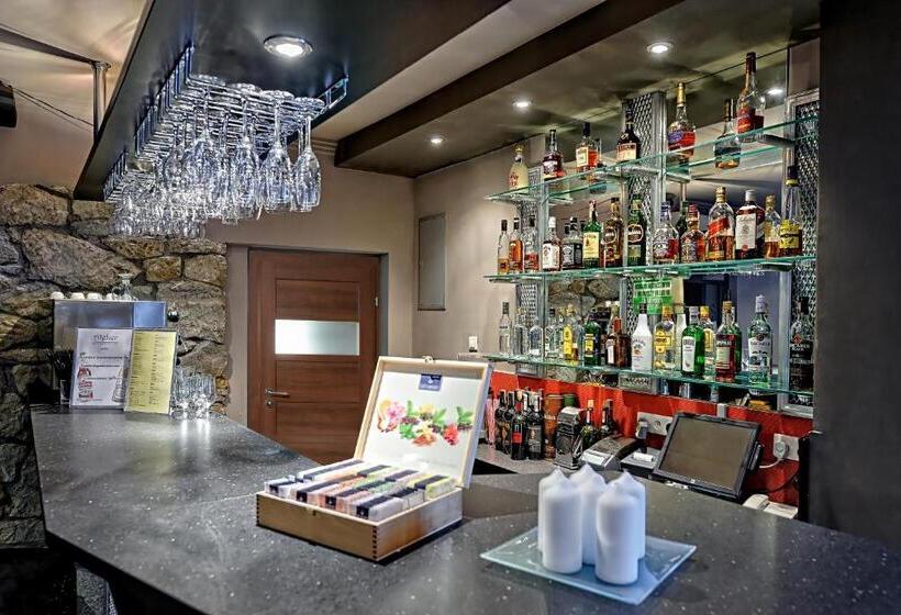 فندق Modrzewiówka