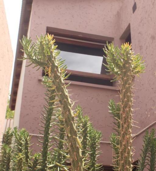 Munay Hotel Cafayate