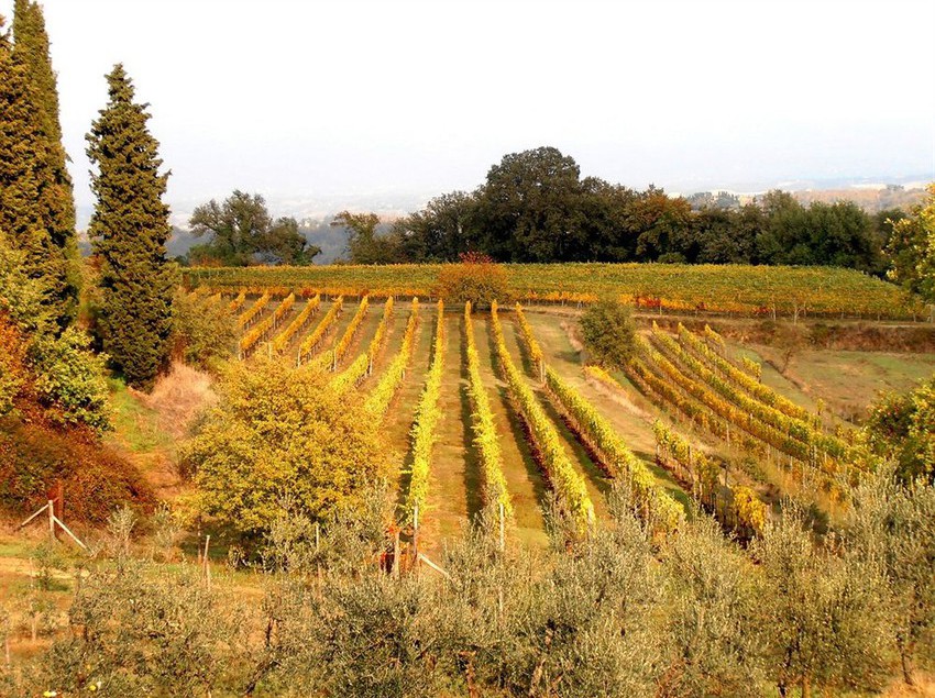 Отель Podere Campiglioni