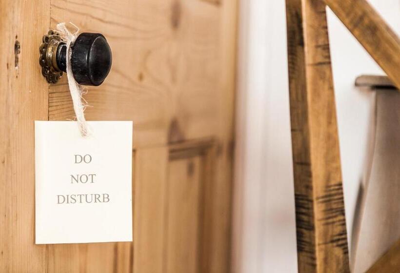 בית מלון כפרי Primrose House St. Ives