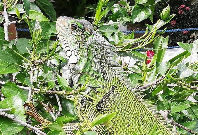 هتل Puerto Ballesta