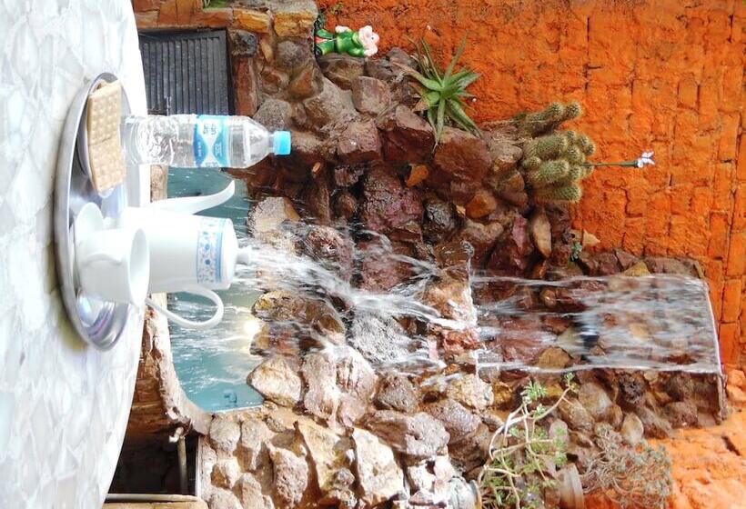 Отель Puno Terra