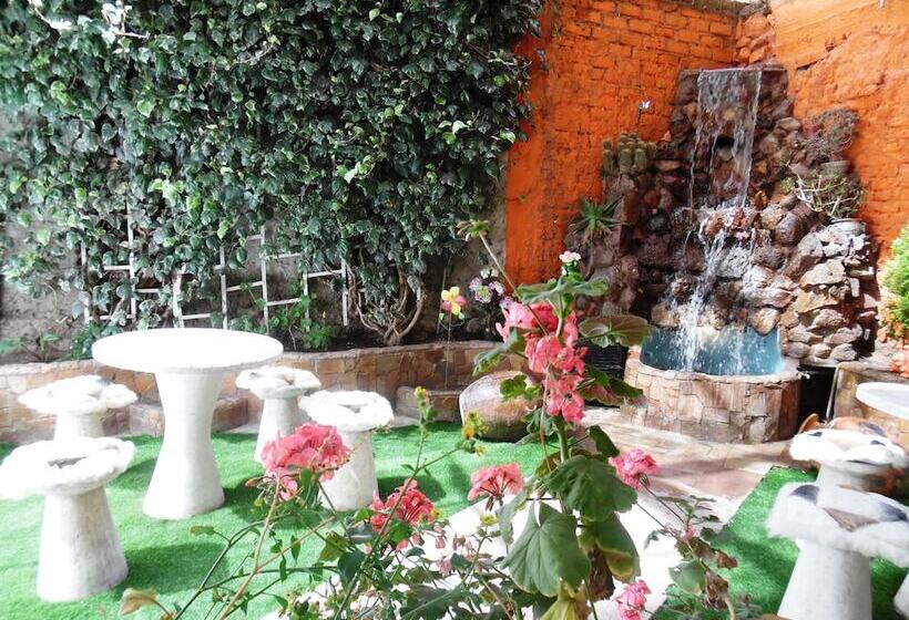 Отель Puno Terra