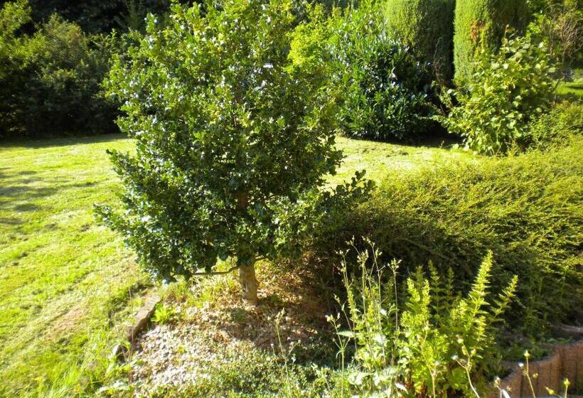 Отель Restaurant A L Ange