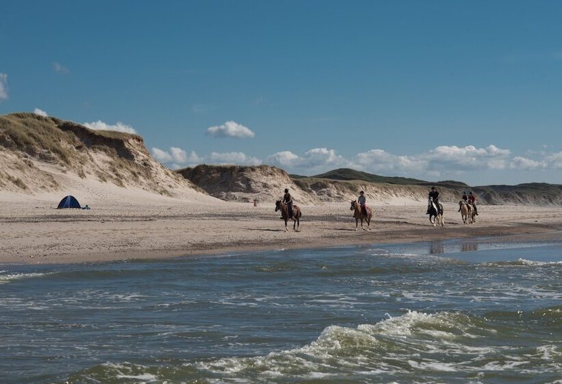 Отель Ringkøbing