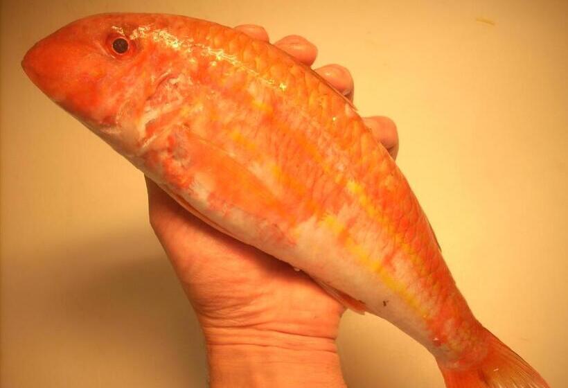 ホテル Ristorante Ai Campi Di Marcello