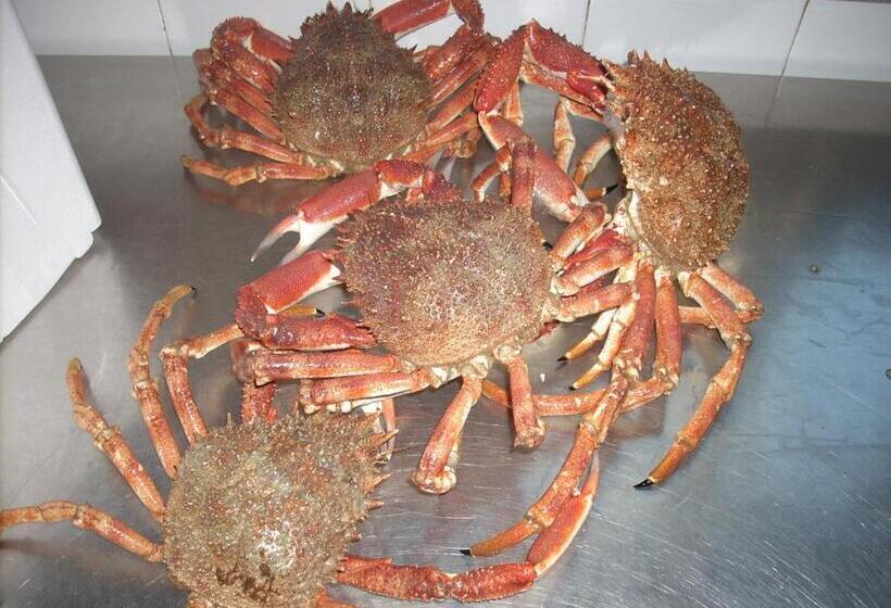 ホテル Ristorante Ai Campi Di Marcello