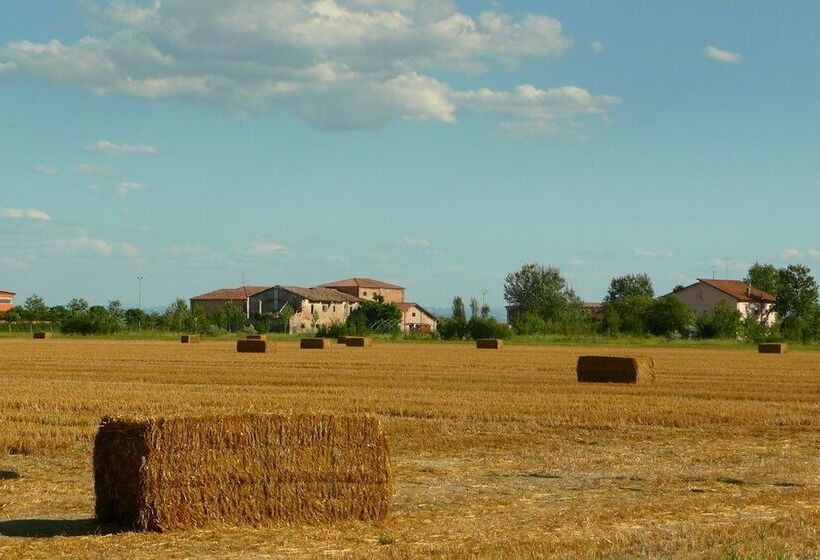 Отель San Vitale