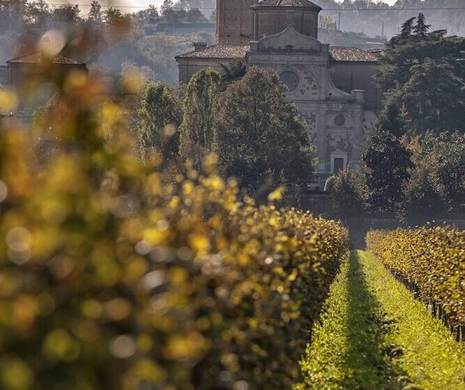 Отель Terme Preistoriche Resort & Spa