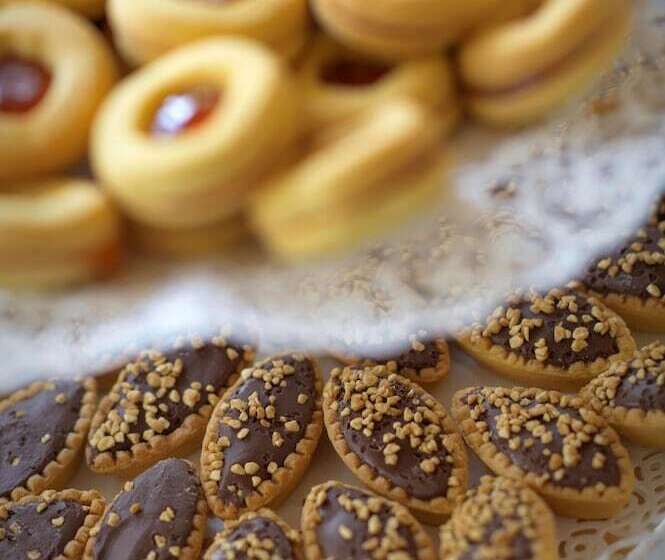 Отель Terme Preistoriche Resort & Spa