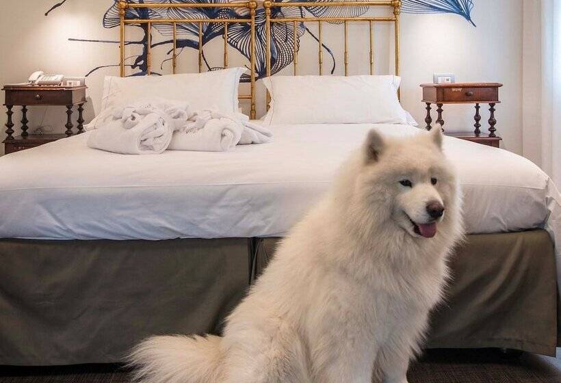 Отель Terme Preistoriche Resort & Spa