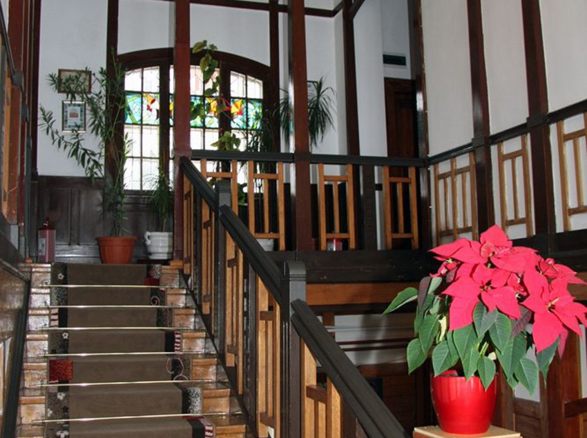 فندق Vila Camelia