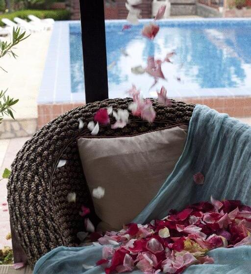 Отель Villa Ofir