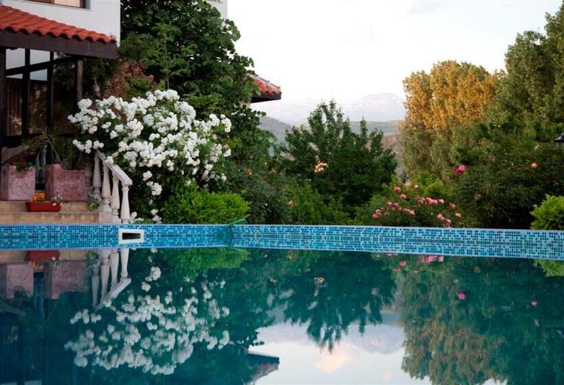 Отель Villa Ofir