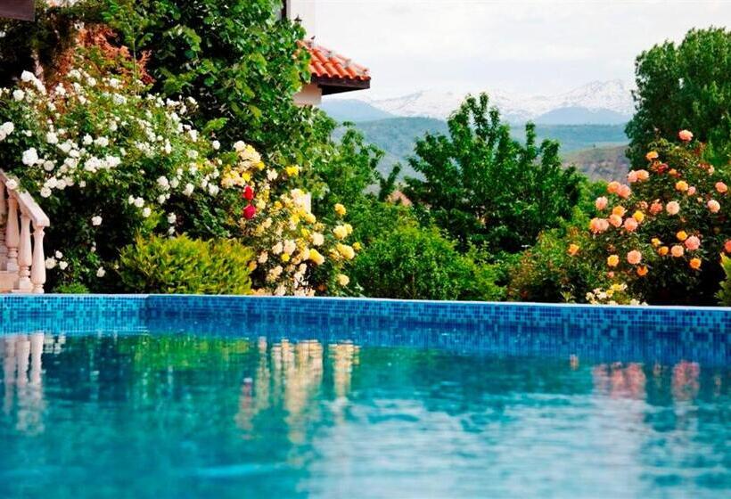 Отель Villa Ofir