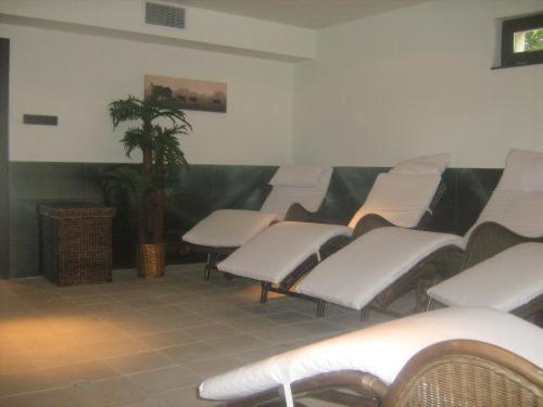 Отель Villa Ofir