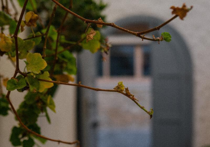 Vintage Hotel Alacati