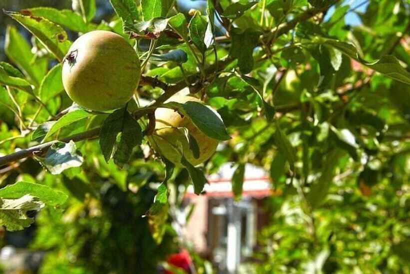 호텔 Waldblick Deppe