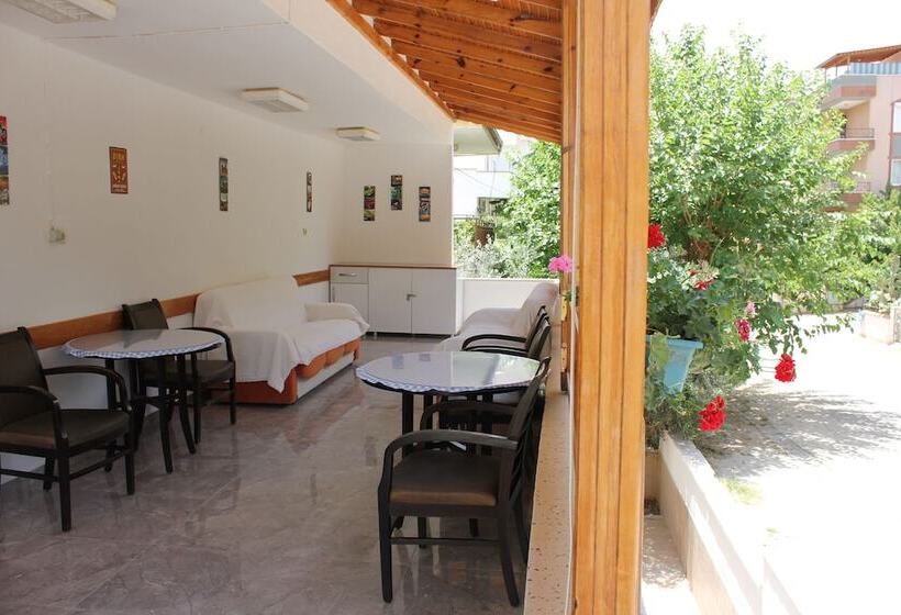 汽车旅馆  özge Pansiyon   Hostel