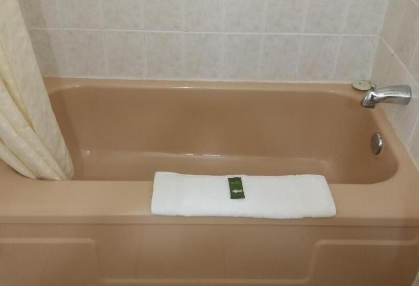 فندق على الطريق River Mist Inn