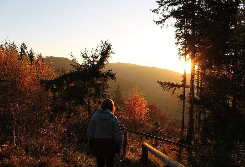 بنسيون Landgasthof Ruppel