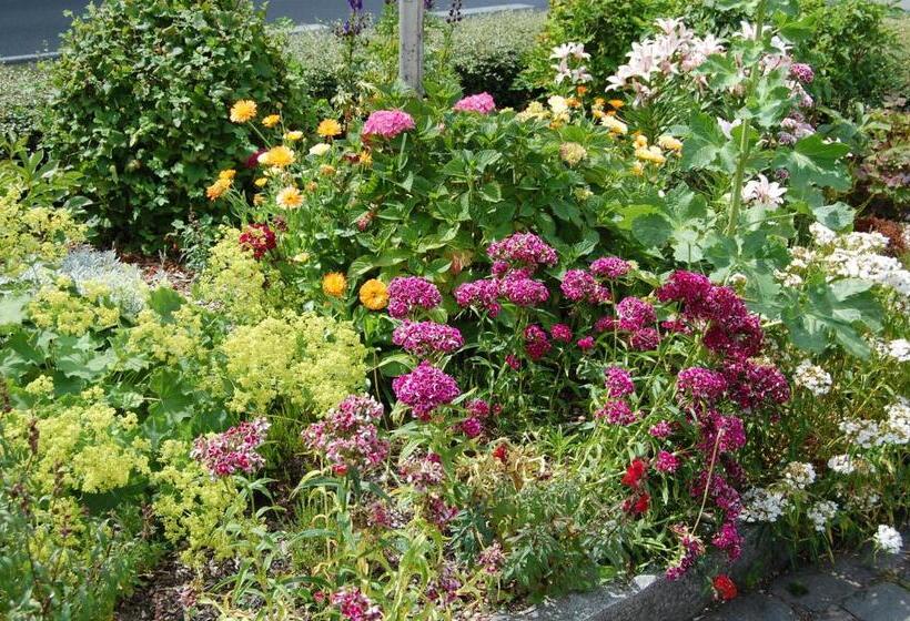 פנסיון & Restaurant Schlei Liesel