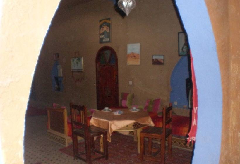 Riad Aicha & Camel Trekking