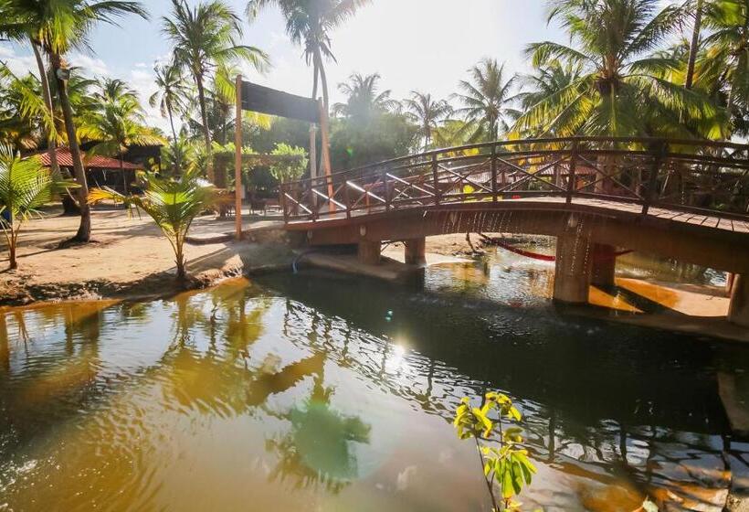 Общежитие Pousada Recanto Beach