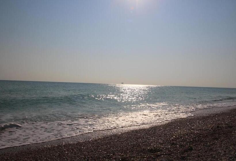 B&b Sogni D Oro Milena