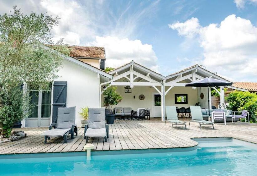 ベッドアンドブレックファースト Le Gite De La Canopée De Mios