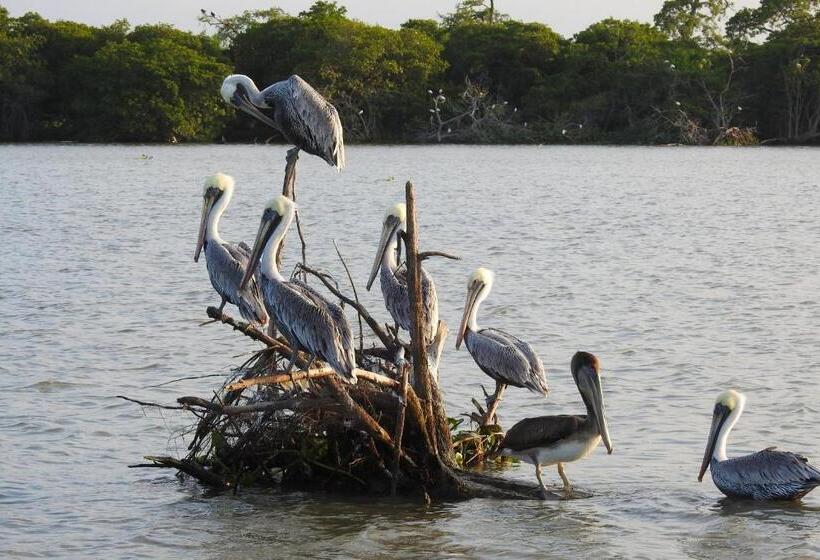 בית מלון כפרי Don Luis Hostal   Sucursal Galeana   Tecolutla