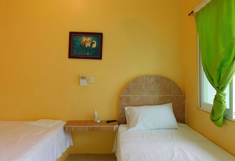 فندق Habitaciones América Rotamundos