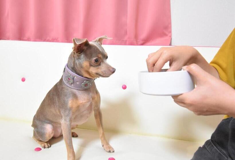 ホテル Regariain   Vacation Stay 84905