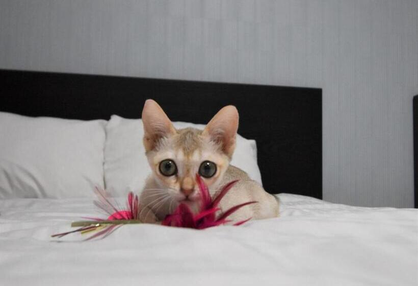 ホテル Regariain   Vacation Stay 84905