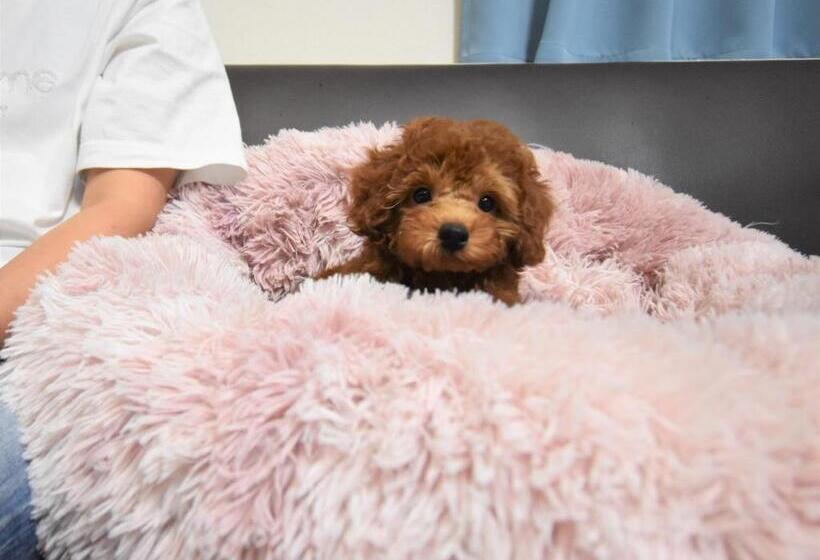 فندق Regariain   Vacation Stay 85011