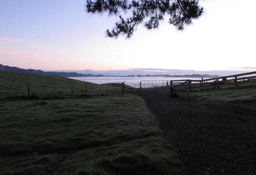 בית מלון כפרי Waihi Gold Alpacas 1 Or 2 People